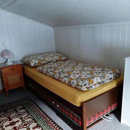 Casa Schuoler Apartament Disentis