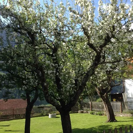 Casa Schuoler Disentis