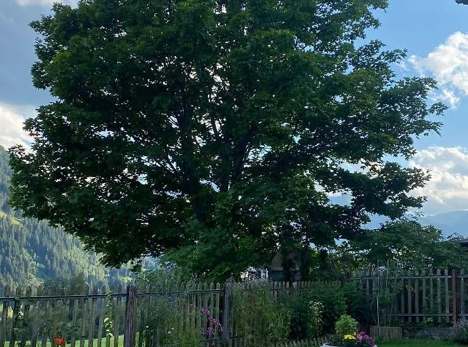 Casa Schuoler شقة *