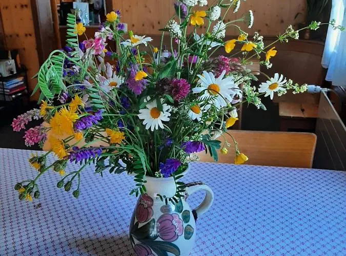 Casa Schuoler * Disentis