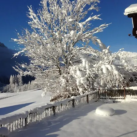 Casa Schuoler Daire Disentis