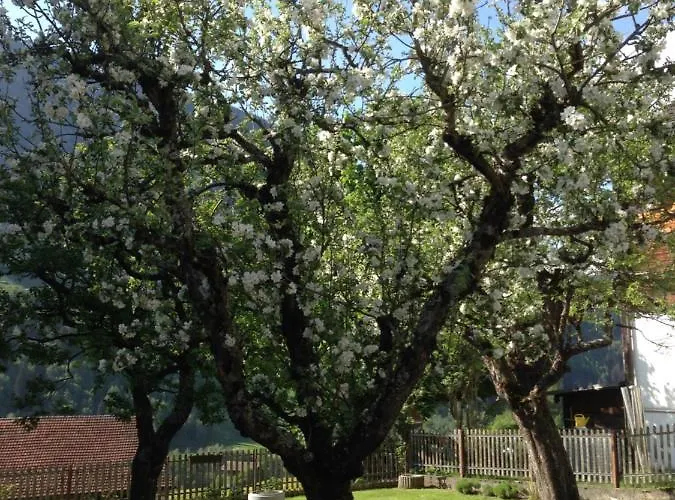 Casa Schuoler Disentis