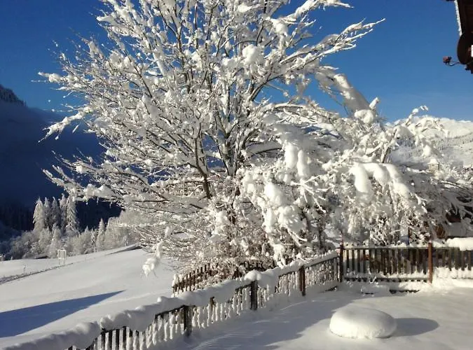 Casa Schuoler Apartment Disentis