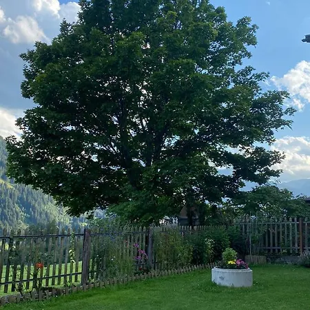 Casa Schuoler 公寓 *