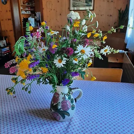 Casa Schuoler * 迪森蒂斯